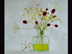 Fiona Lee-Wild flowers in glass bottle-Third.jpg